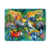 3D LiveLife Magnets - Birds of the Tropics