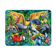 3D LiveLife Magnets - Birds of the Tropics