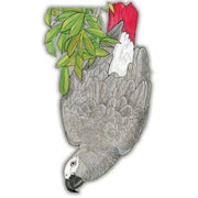 Parrot African Grey Magnet Wooden
