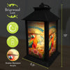 Sunset Parrot Lantern