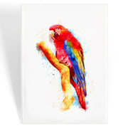 MAGNET Parrot, Watercolor
