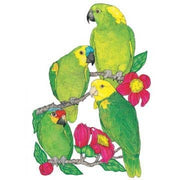 Parrot Amazon Magnet Wooden
