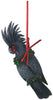 Black Palm Cockatoo Ornament