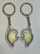 Cinnamon Green Cheek Conure Keychain