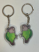 Brown Headed Parrot Keychain